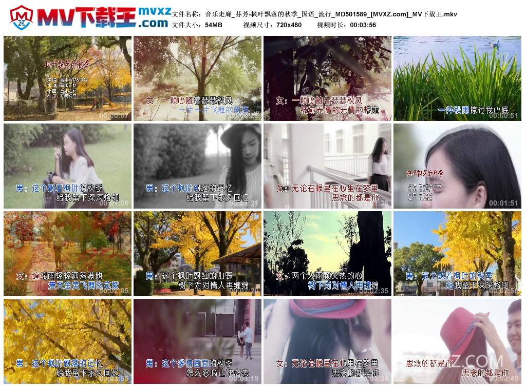 音乐走廊_芬芳-枫叶飘落的秋季_国语_流行_MD501589